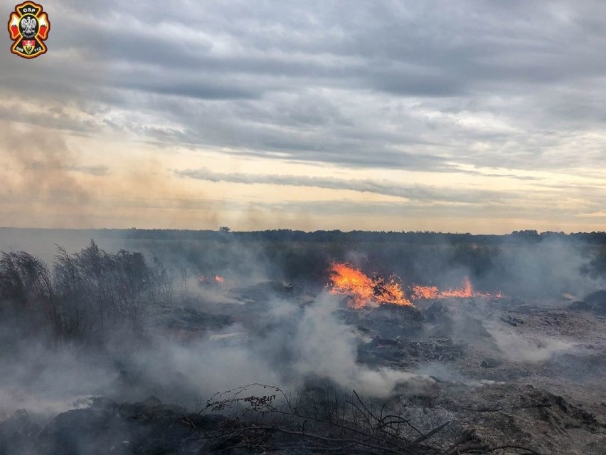 Duży pożar suchej trawy i odpadów w Sokołowicach. Ogień objął powierzchnię 20 arów!
