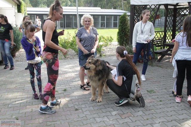 Na marsze i biegi z czworonogami zgłosiło się 70 osób. Było też sporo chętnych spoza listy, którzy czekali na możliwość wyjścia na spacer z psiakiem. Pracownicy firmy Solvay także wzięli udział w akcji, a ponadto przynieśli 70 kg karmy dla zwierząt.


Bieg na 6 łap w schronisku we Włocławku

