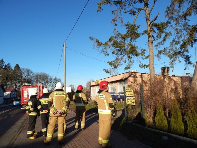 Słupscy strażacy dostali wezwanie do drzewa w Duninowie, które zdaniem zgłaszającej, niebezpiecznie pochyliło się i zagraża m.in. budynkowi, w którym znajduje się sklep. Na miejscu strażacy uznali, że nie jest konieczna szybka interwencja.