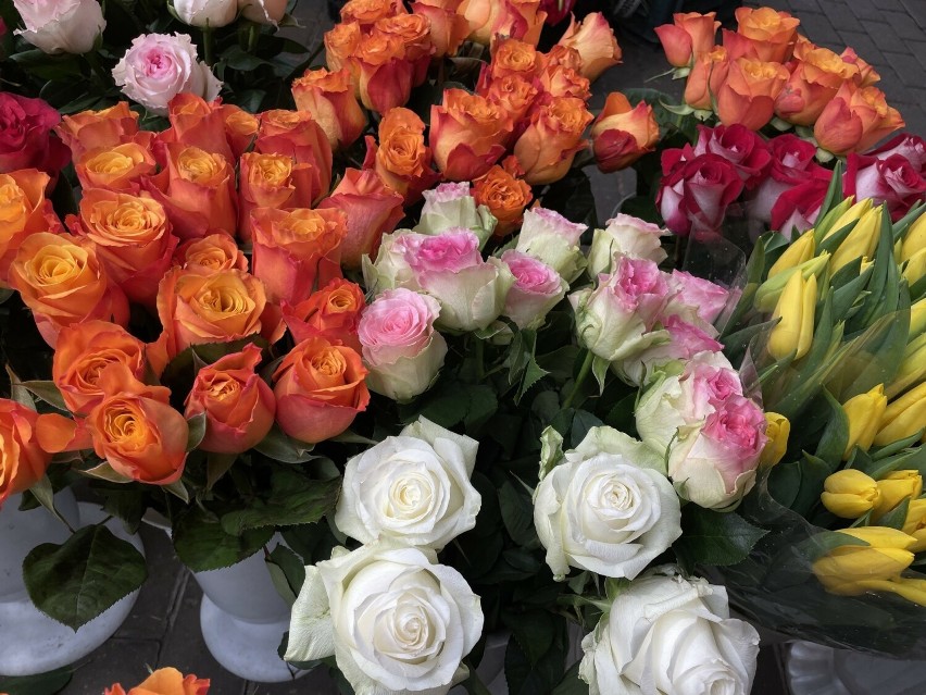 Duży wybór kwiatów ciętych z okazji Dnia Kobiet. Ile zapłacimy za pojedynczy kwiat, a ile za bukiet?