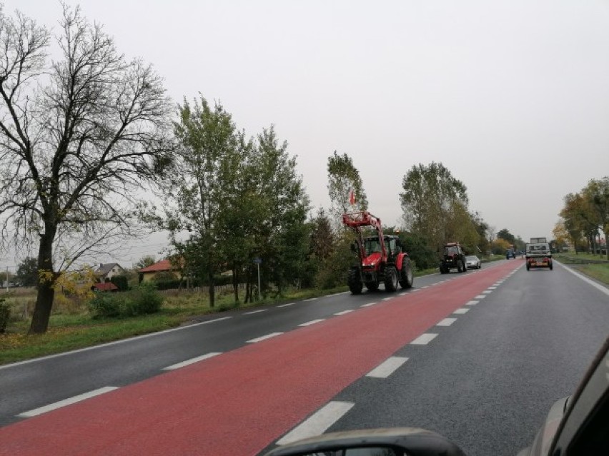 Rolnicy z powiatu lipnowskiego wzięli udział w strajku na DK...