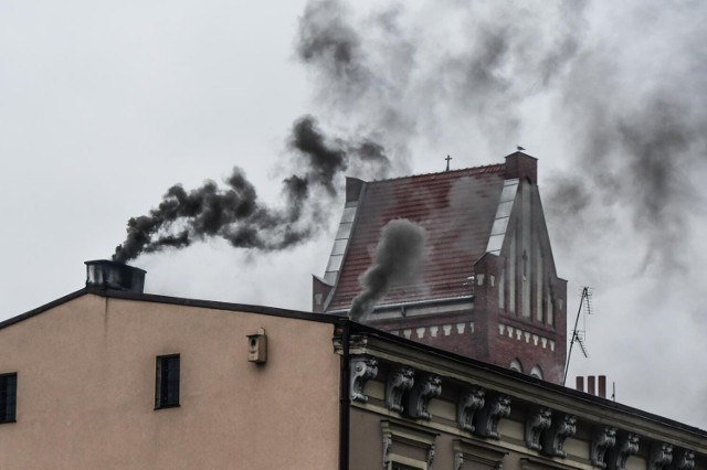 59 proc. ankietowanych przyznało, że rozważa zmianę miejsca pracy i zamieszkania ze względu na złą jakość powietrza.