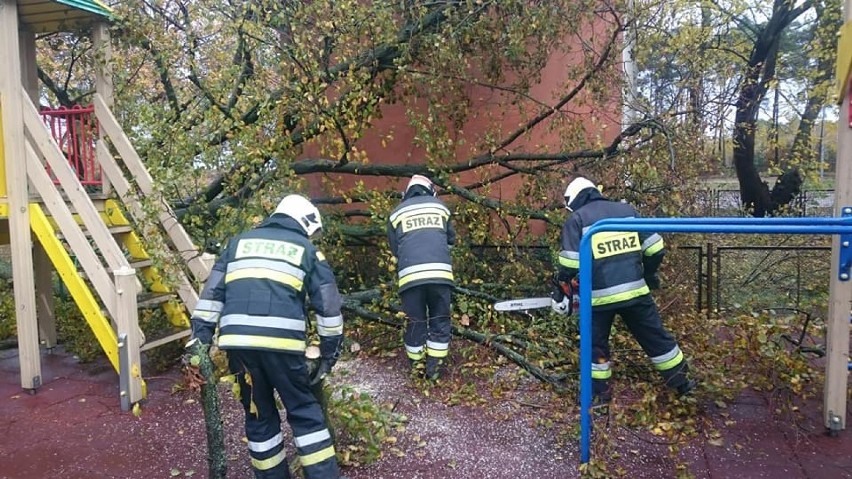 Powiat NT: Orkan Grzegorz siał zniszczenie