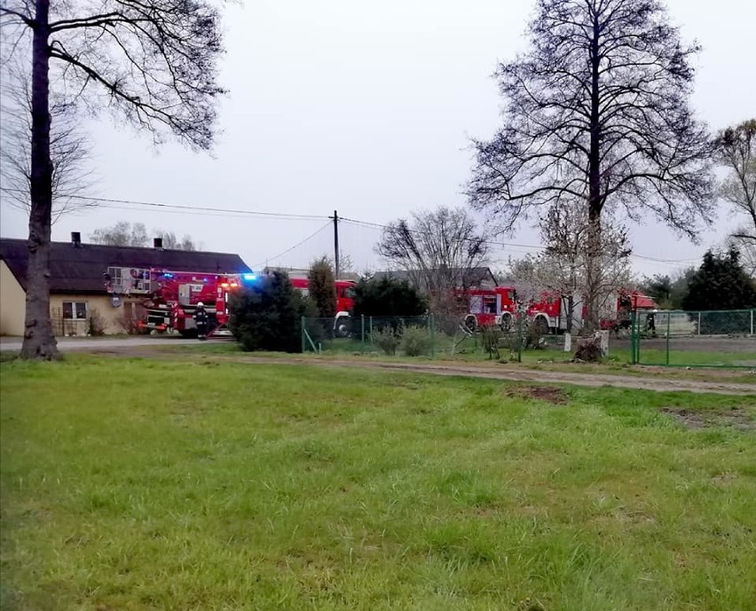 W akcji ratowniczo-gaśniczej brali udział strażacy z PSP z...