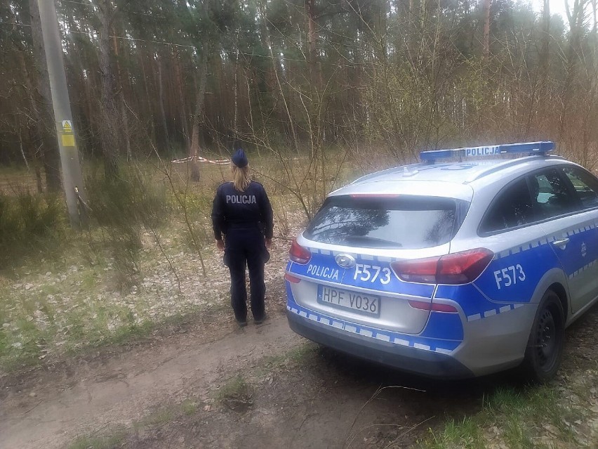 Niewybuch znaleziony został w lesie w Wojsławicach w gminie...