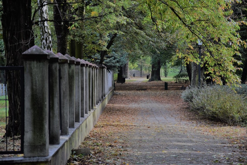 Park Miejski w Kaliszu ubiera powoli jesienną szatę. A...