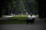 Kobiety będą protestowały w parku Skaryszewskim. Mają dosyć wojen i przemocy na świecie