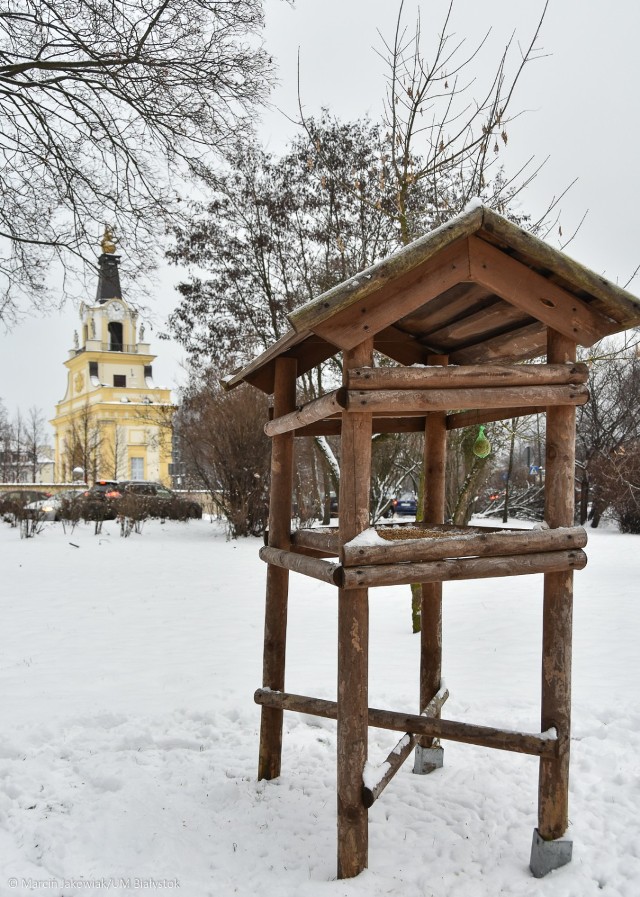Dzięki akcji  „Ptasia stołówka" w Białymstoku postawiono aż 40 karmników. Przedstawiamy miejsca, w których mieszkańcy naszego miasta mogą dokarmiać ptaki.