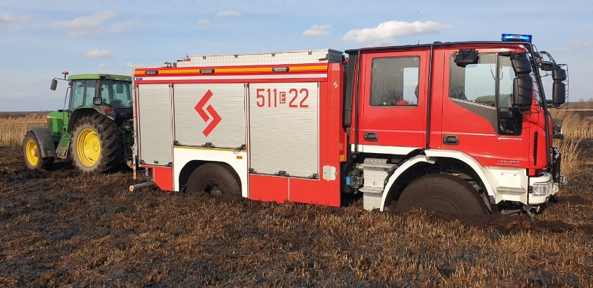 Pożar suchych traw w gminie Gidle. Paliły się 24 ha nieużytków w okolicach Ciężkowic i Wojnowic. ZDJĘCIA