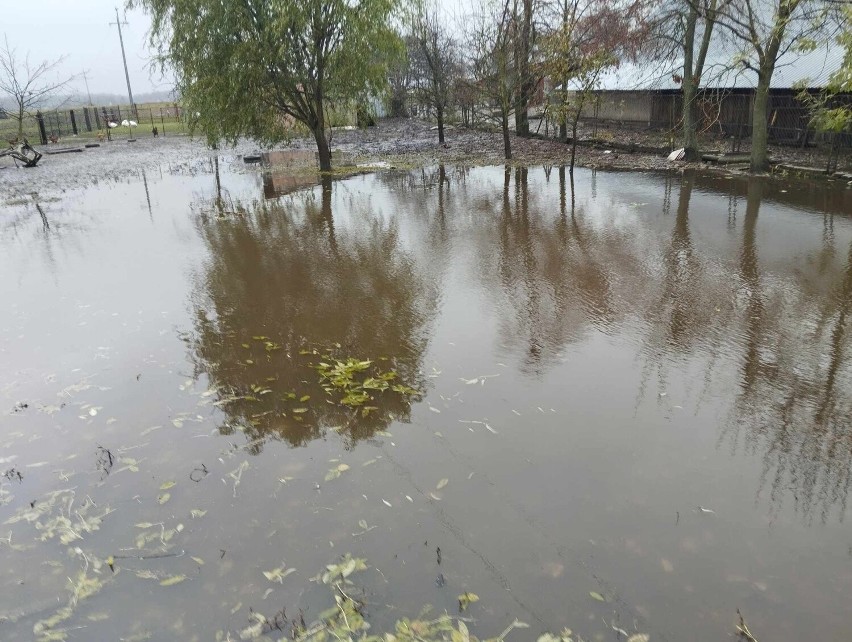 Zagrożenie powodziowe po nocnych opadach deszczu w Tarnowie i regionie. W Starych Żukowicach strażacy ratują podtopione budynki