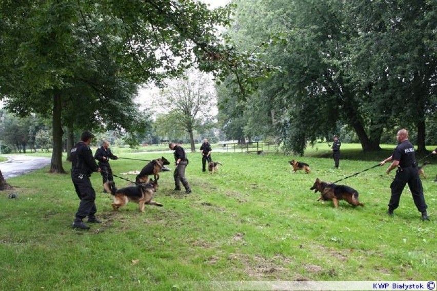 Szkolenie psów służbowych w Bielsku Podlaskim