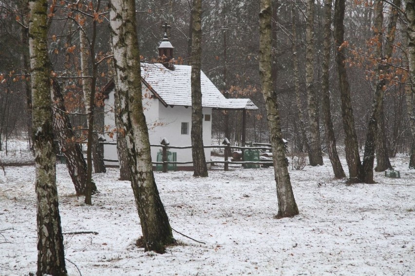 Zima wita w Kielcach wiosnę ... śniegiem