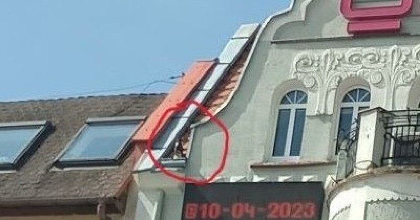 Kot na dachu szczecineckiej kamienicy. Musieli pomóc strażacy 