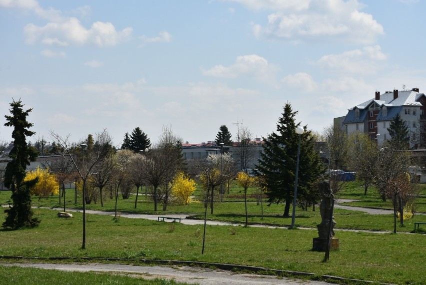 Park Międzyosiedlowy w Chełmie.