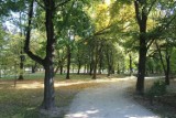 Bytomski Piknik Równości w Parku Kachla już w ten weekend