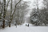 Pogoda na święta i Sylwestra. W Kujawsko-Pomorskiem może spaść śnieg - pojawią się też zamiecie śnieżne