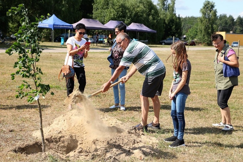 Miejska Fabryka Czystego Powietrza. Sadzenie drzewek przy ulicy Świerkowej [ZDJĘCIA]