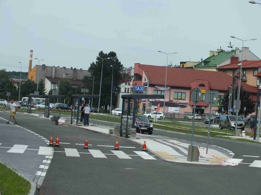 Nowe, zielone przystanki powstają w Starachowicach. Rośliny mają być odporne na ekstremalne warunki pogodowe. Zobacz zdjęcia