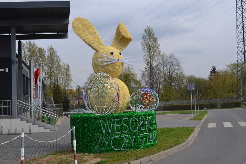 Wielkanocny zajączek przed Starostwem Powiatowym w Myszkowie ZDJĘCIA