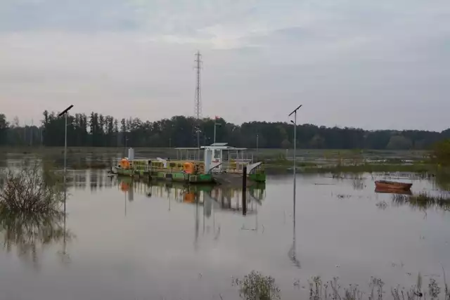 Promy w Brodach i Pomorsku nie kursują. W Cigacicach utknął statek Zefir, galary nie pływają... Odra podnosi się z dnia na dzień.