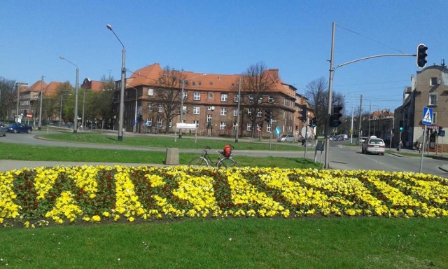 Pracownicy GZDiZ już przesadzili bratki. Żółte trafiły do Parku Strzyża. W napisie "Wrzeszcz" zastąpiono je bordowymi. 

"Wygraliśmy! Kolor żółto-niebieski przeżył tylko kilka dni" – cieszą się kibice Lechii na fanpejdżu "Akcje Lechii Gdańsk".