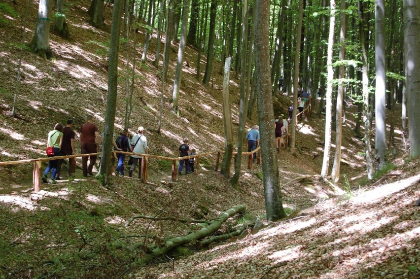 Trasa wokół jeziora Lubygość w Lasach Mirachowskich 13.06.2015