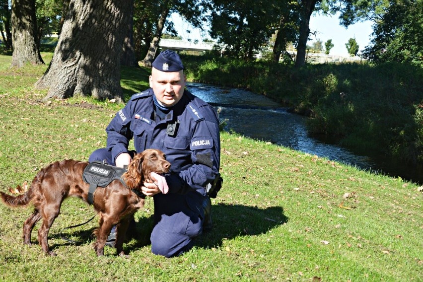Suwalska komenda policji ma nowego psa. Półtoraroczna Aida to płochacz niemiecki, jedyny tej rasy pies w policji
