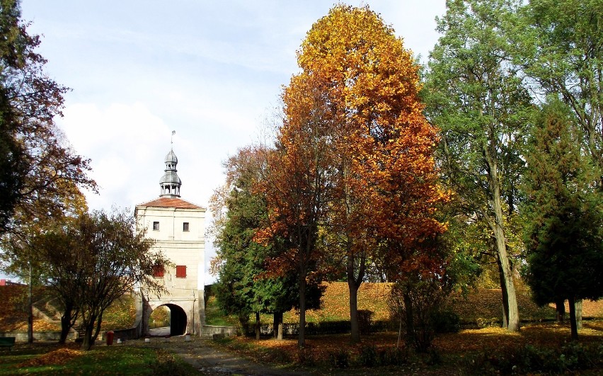 Jesień w zbąszyńskim parku