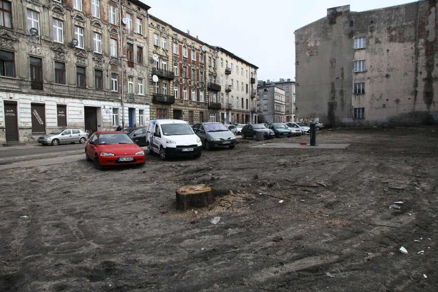 Wycięli drzewa w Łodzi, żeby zrobić parki i zielone ulice
