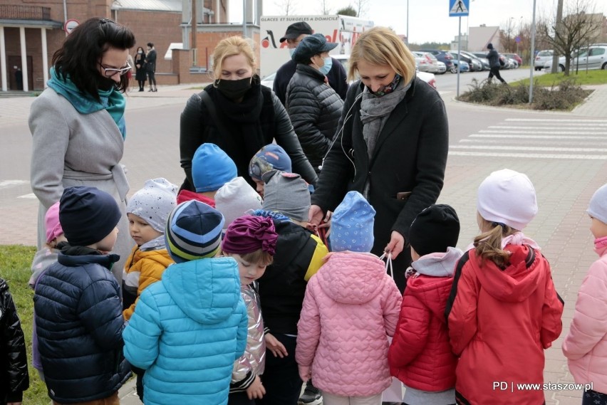 Wielkie sprzątanie i nowe nasadzenia podczas "Staszowskich Dni Ziemi" (ZDJĘCIA)