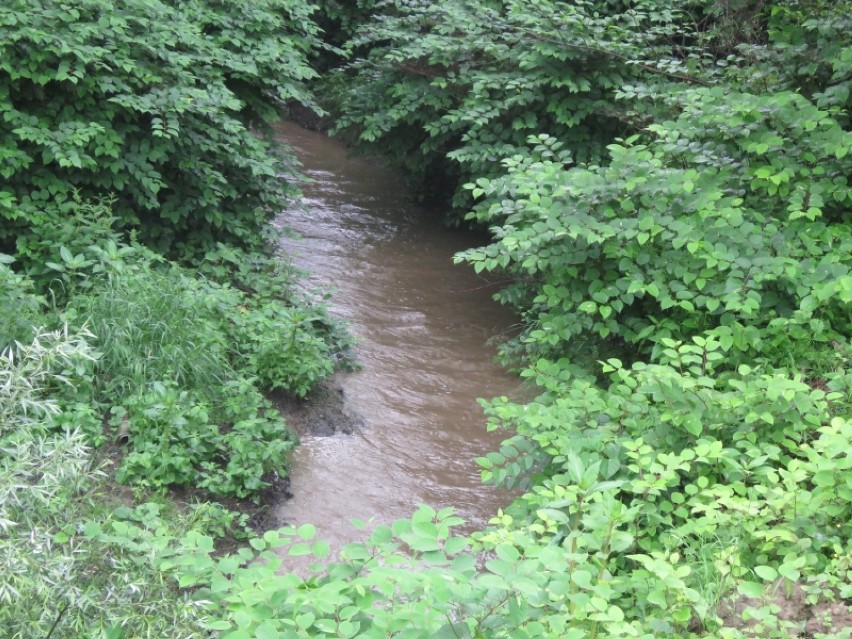 Stan rzek w Wadowicach