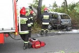 Wrocław: Tragedia przy Wilczyckiej. Spłonął kierowca (ZDJĘCIA)