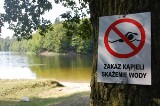 Zakaz kąpieli w Prabutach. Podczas badania wody wykryto sinice!