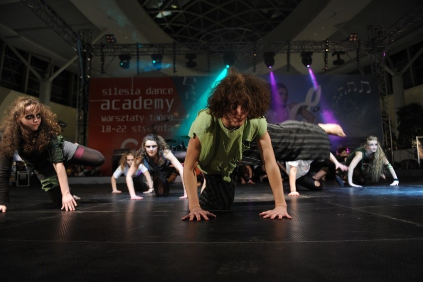 Silesia Dance Academy 2011. Taneczne ferie zakończone [ZDJĘCIA]