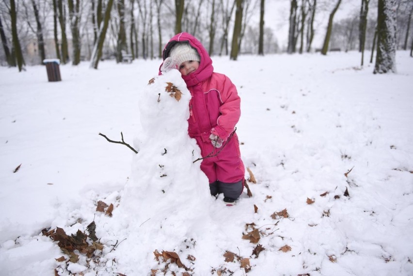 W pierwszym tygodniu ferii ma padać śnieg, ale temperatury...