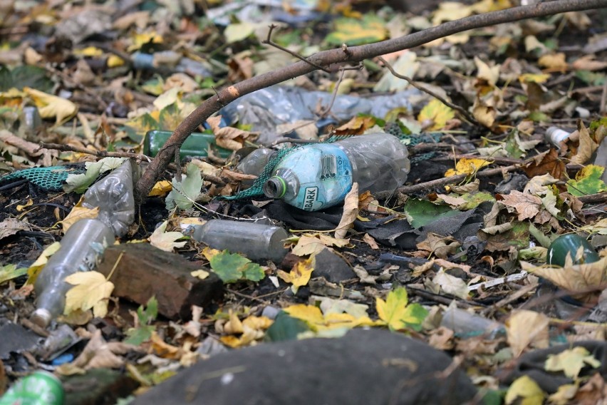 Dzikie wysypisko śmieci w Legnicy, tuż obok parku [ZDJĘCIA]