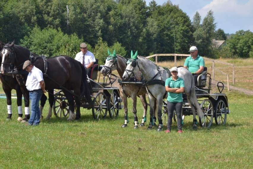 W niedzielę, 13 sierpnia w Teodorowie (gm. Wielgie) odbyły...