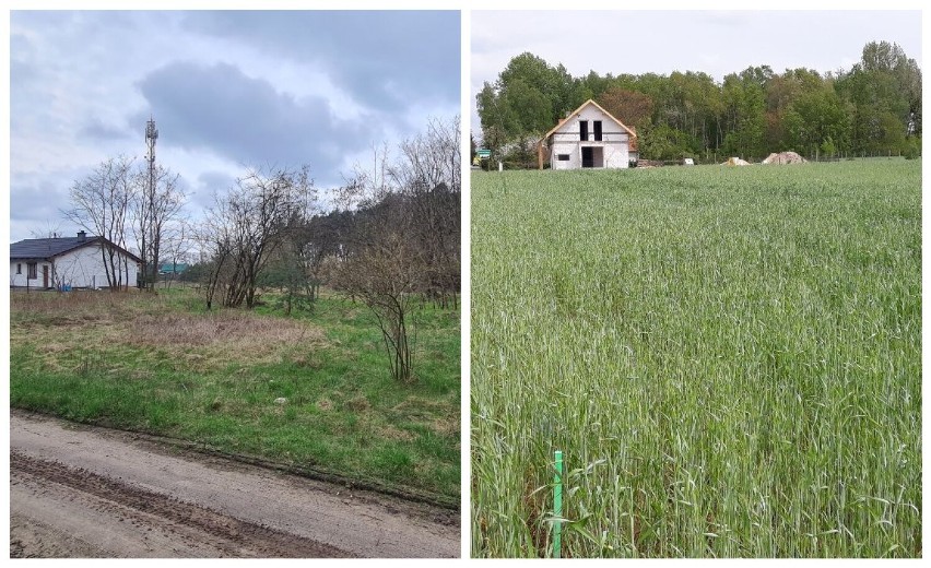 Najtańsze działki budowlane do kupienia w powiecie wągrowieckim. Poniżej 80 tys. złotych za działkę! Sprawdziliśmy na OTODOM