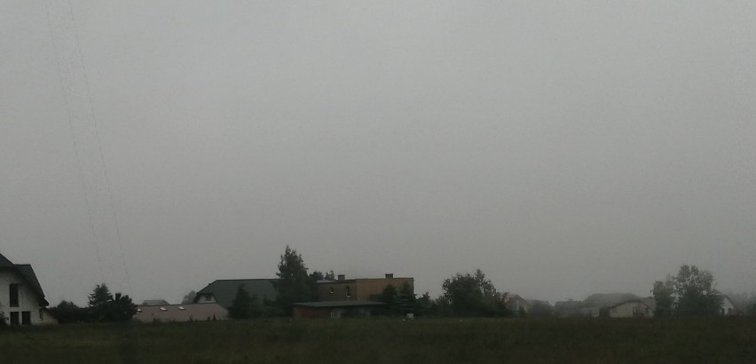 Mgła nad gminą Puck - 17 czerwca 2020