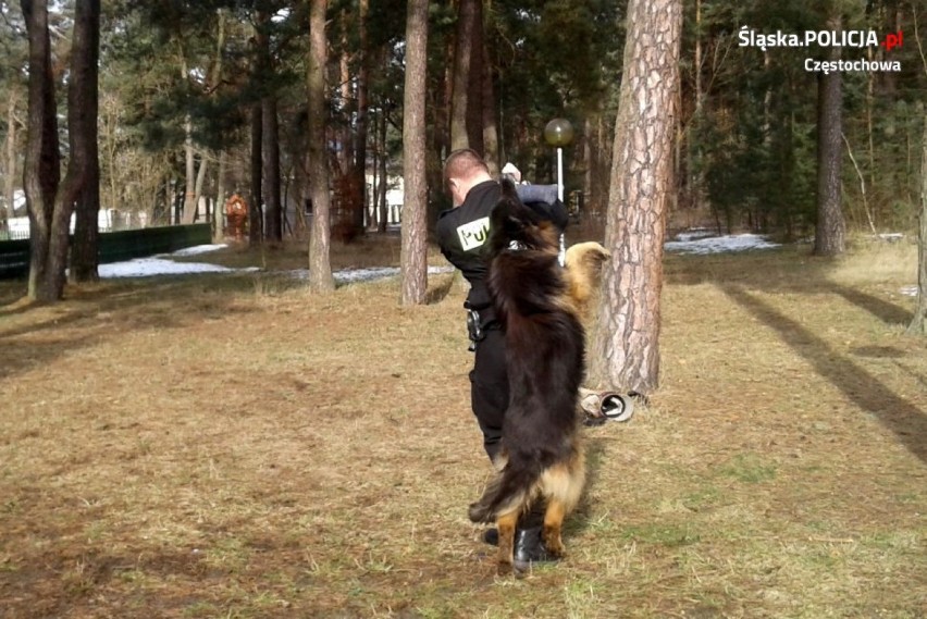 Olsztyn: Policyjny pies Rambo odwiedził dzieci w ośrodku Owieczka [ZDJĘCIA]