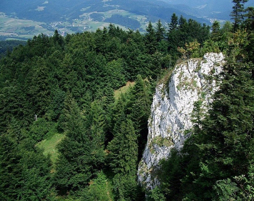 Widok typowo jurajski, ale przecież Pieniny to siostra Jury...