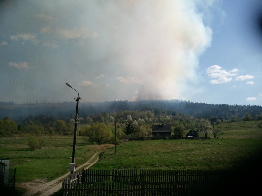 Wielki pożar lasów w Ujsołach w Beskidzie Żywieckim. To już kolejny. Zagrożone są domy mieszkalne?