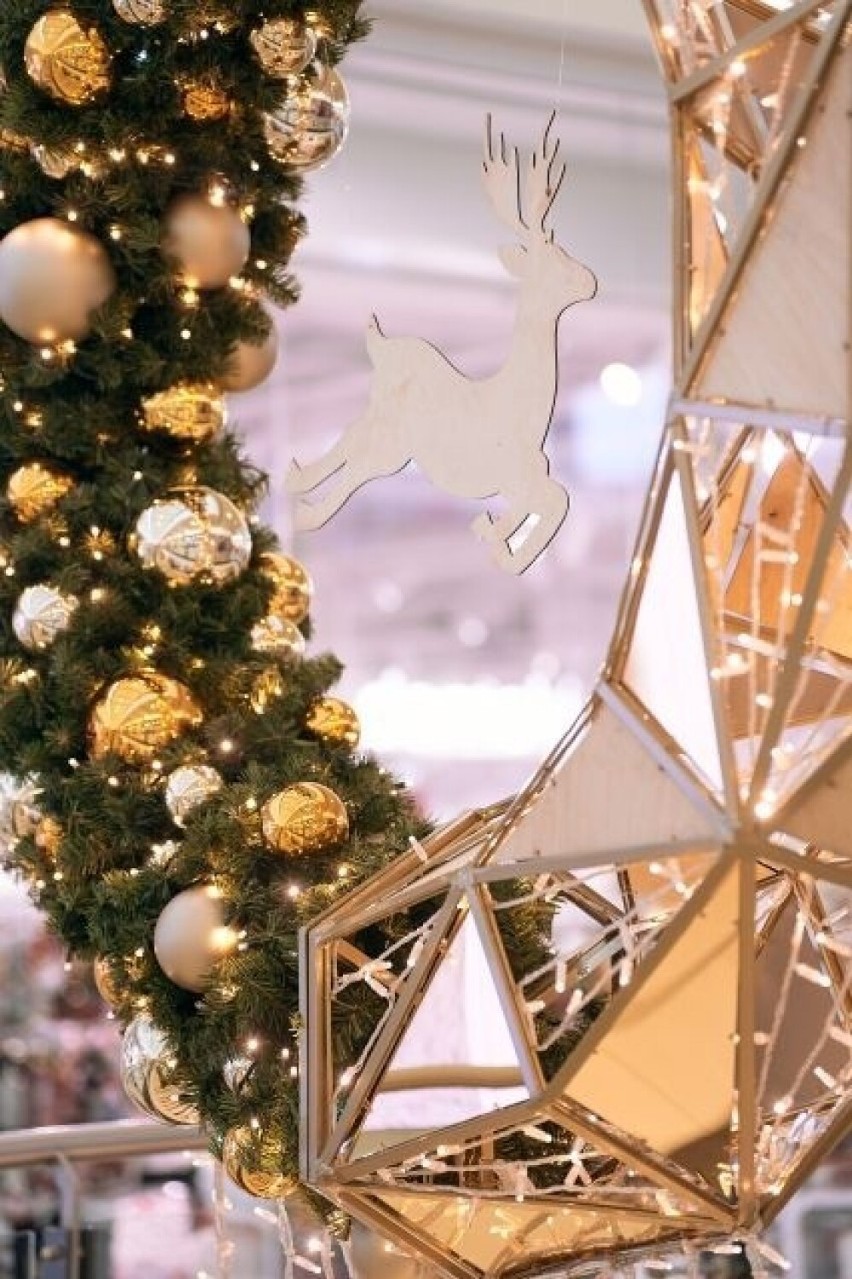 Dekoracje świąteczne w Galerii Słonecznej w Radomiu. W centrum handlowym czuć już Boże Narodzenie. Zobacz zdjęcia