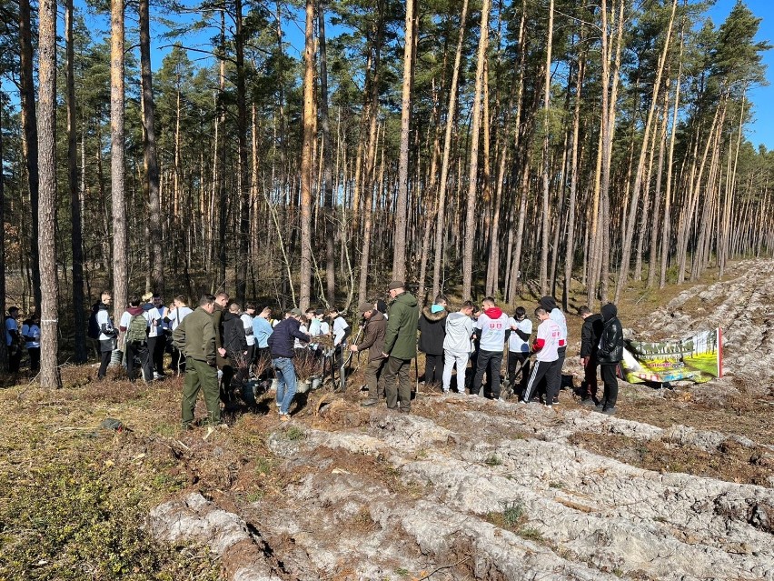 Nadleśnictwo Biłgoraj. Uczcili Międzynarodowy Dzień Lasów 