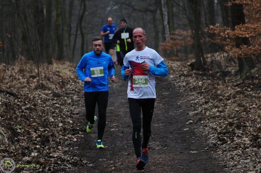 City Trail w Katowicach - zdjęcia z finałowego biegu [28 luty 2016]