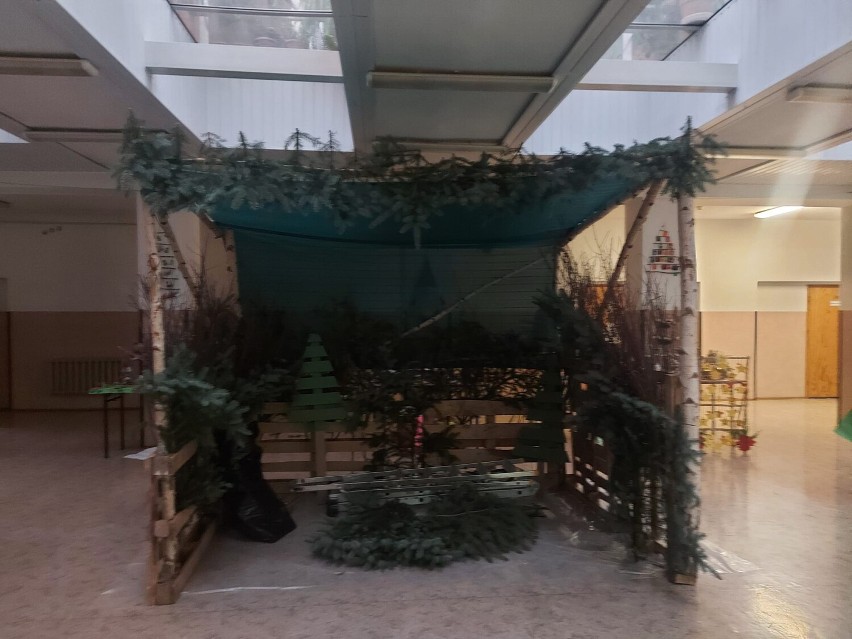 Uczniowie ze zgorzeleckiej "Emilki" zbudowali piękna, bożonarodzeniową szopkę (ZDJĘCIA)