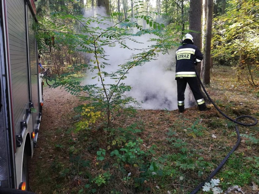 Strażacy zostali wezwani do pożaru lasu pod Skokami 