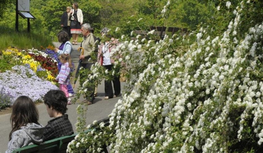 Lubelski ogród botaniczny niedawno wznowił działalność. Na...