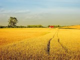 Najlepsze gospodarstwa agroturystyczne w Wielkopolsce [ZDJĘCIA, MAPY, ATRAKCJE]