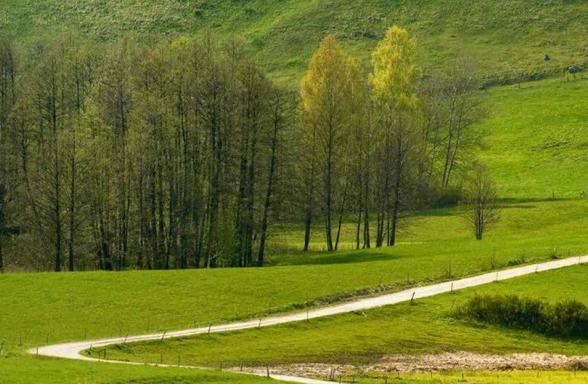 Wodzitki w Suwalskim Parku Krajobrazowym.